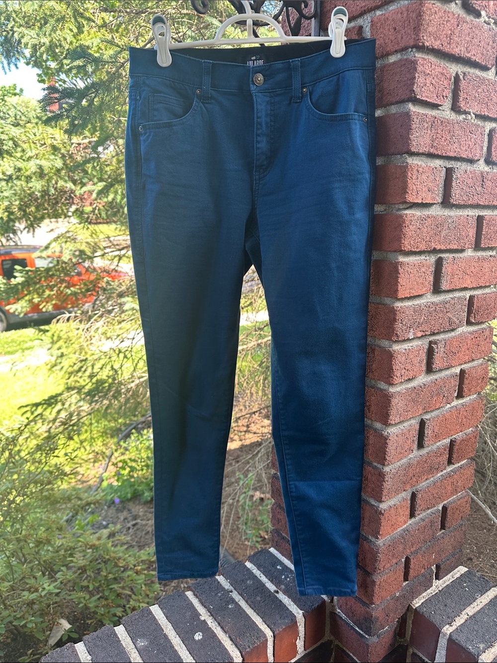 LuLaRoe Women's Skinny Jeans in Dark Blue